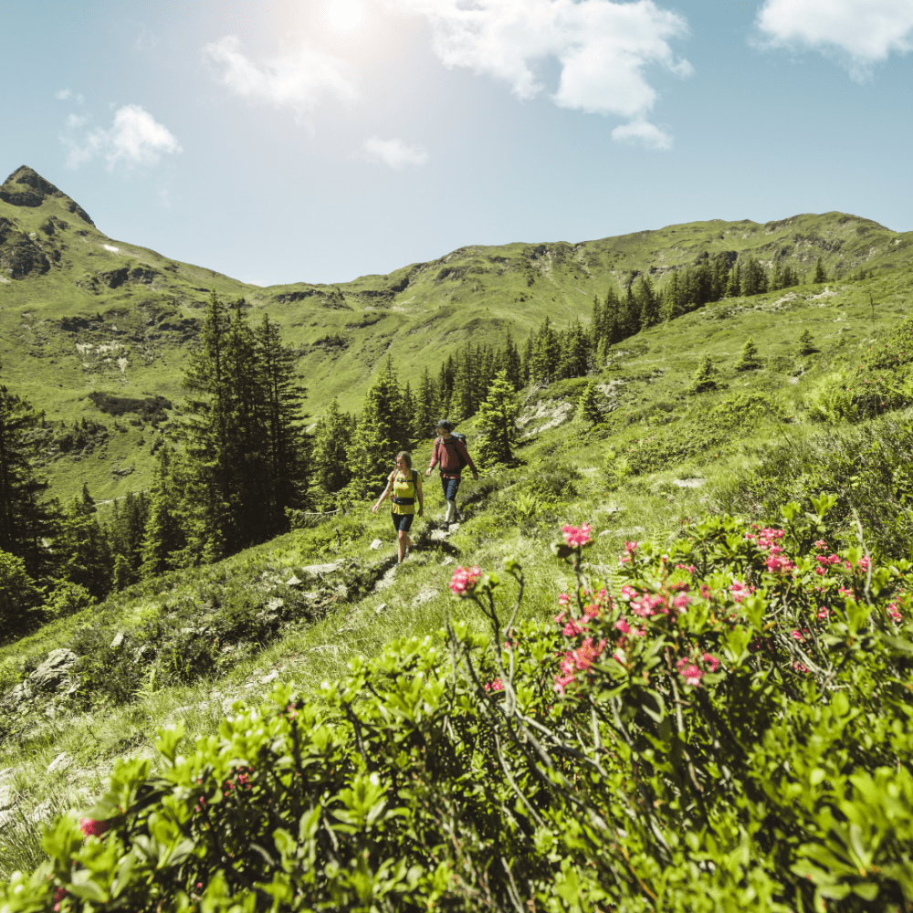 Hiking in Saalbach | Der Zirmhof Apartments in Saalbach