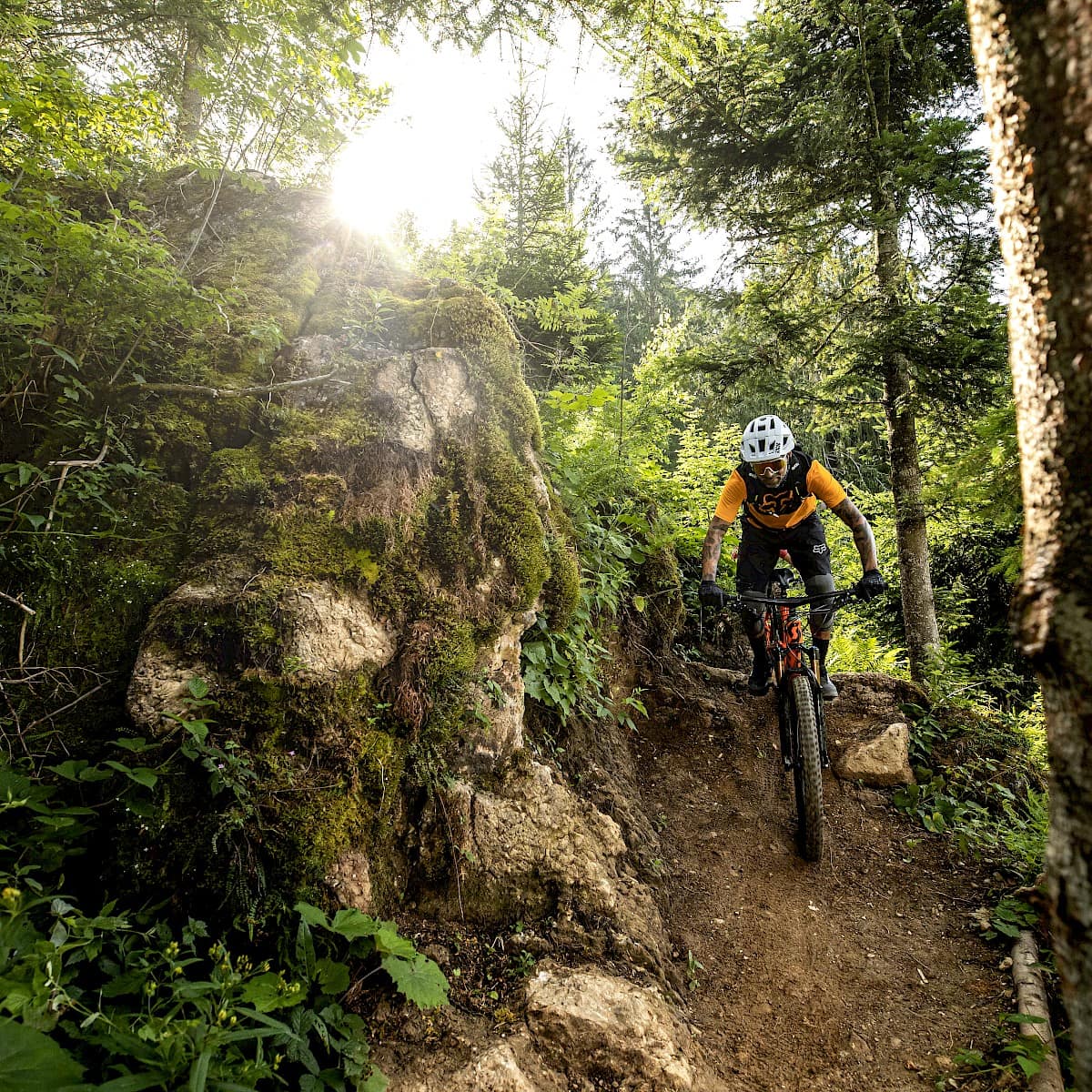 Fietsen in Saalbach Hinterglemm Leogang | Zirmhof Appartementen