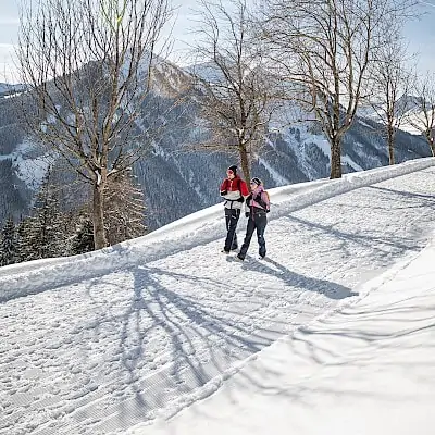 Winterwanderwege in Saalbach Hinterglemm | Zirmhof Apartments