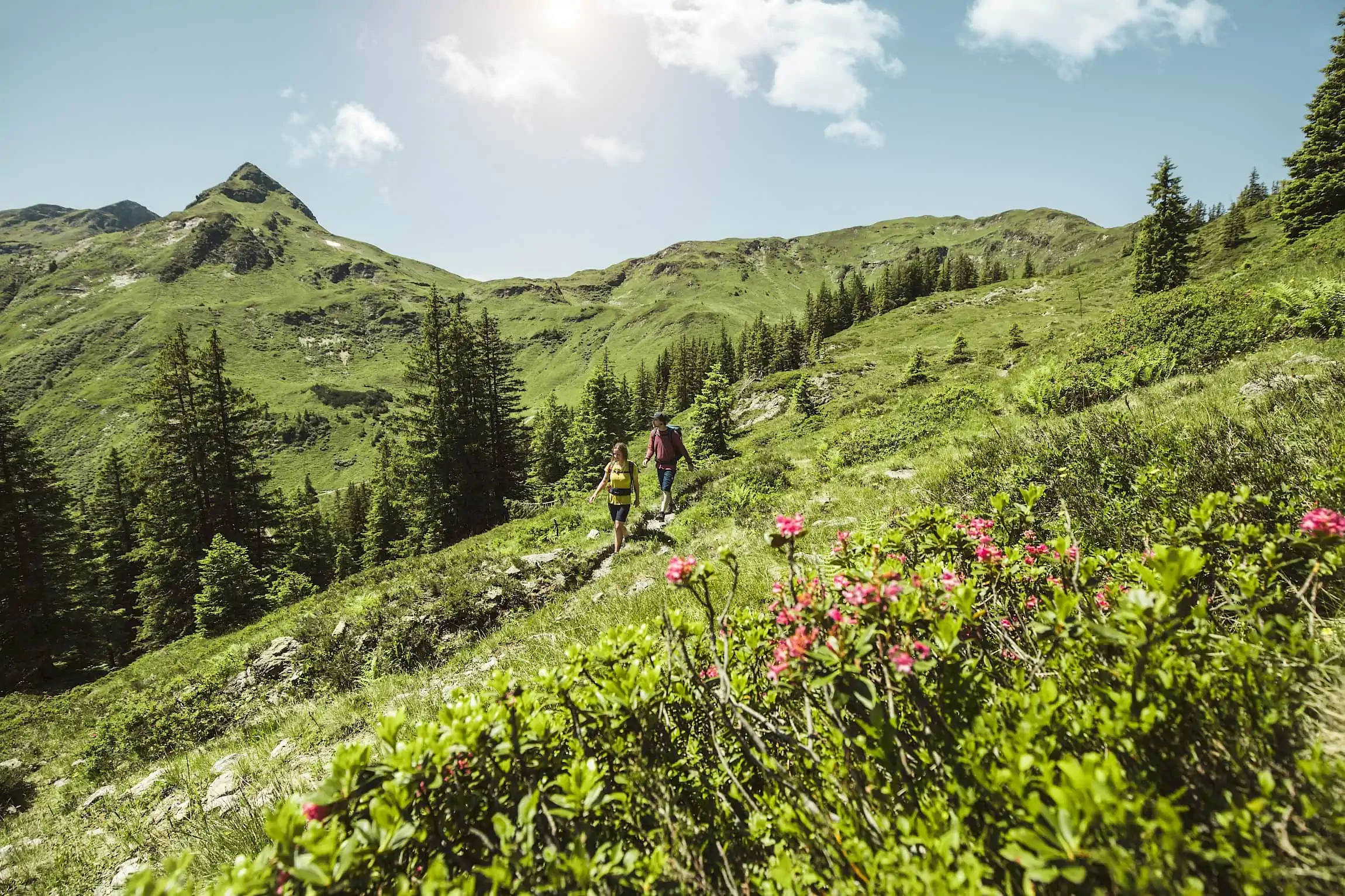 Landscape Saalbach Hinterglemm | Der Zirmhof Apartments