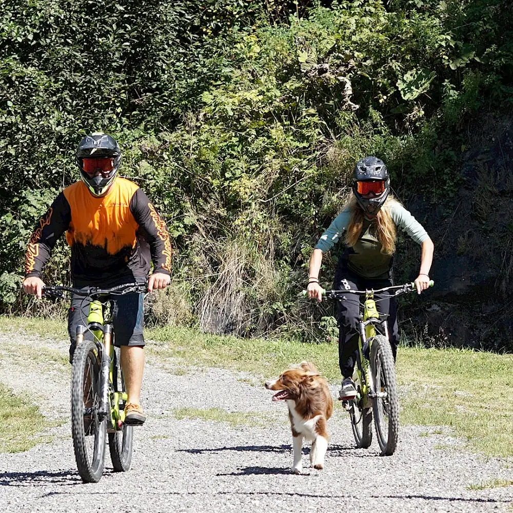 Who is faster? Us on the bike or our dog? | The Zirmhof Apartments in Saalbach